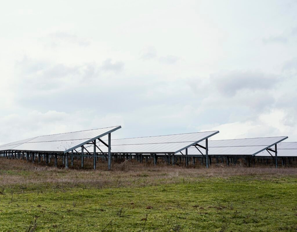 field-with-lots-solar-panels